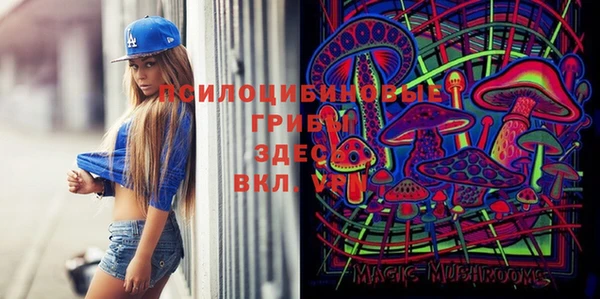 спиды Иннополис