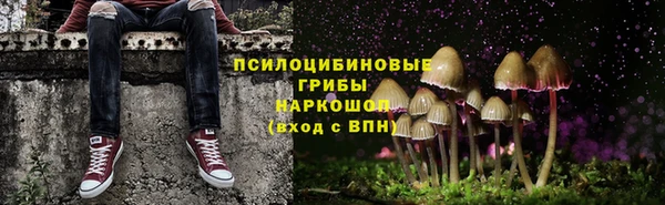 спиды Иннополис