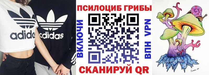 Галлюциногенные грибы мухоморы  Купить  Ангарск 